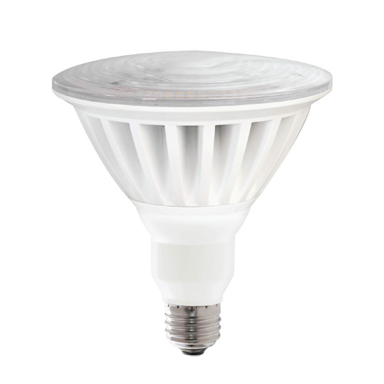 LED TYPE PAR38 55W 120V E26 5000L DAYLIGHT 5000K 1PK 1 50098