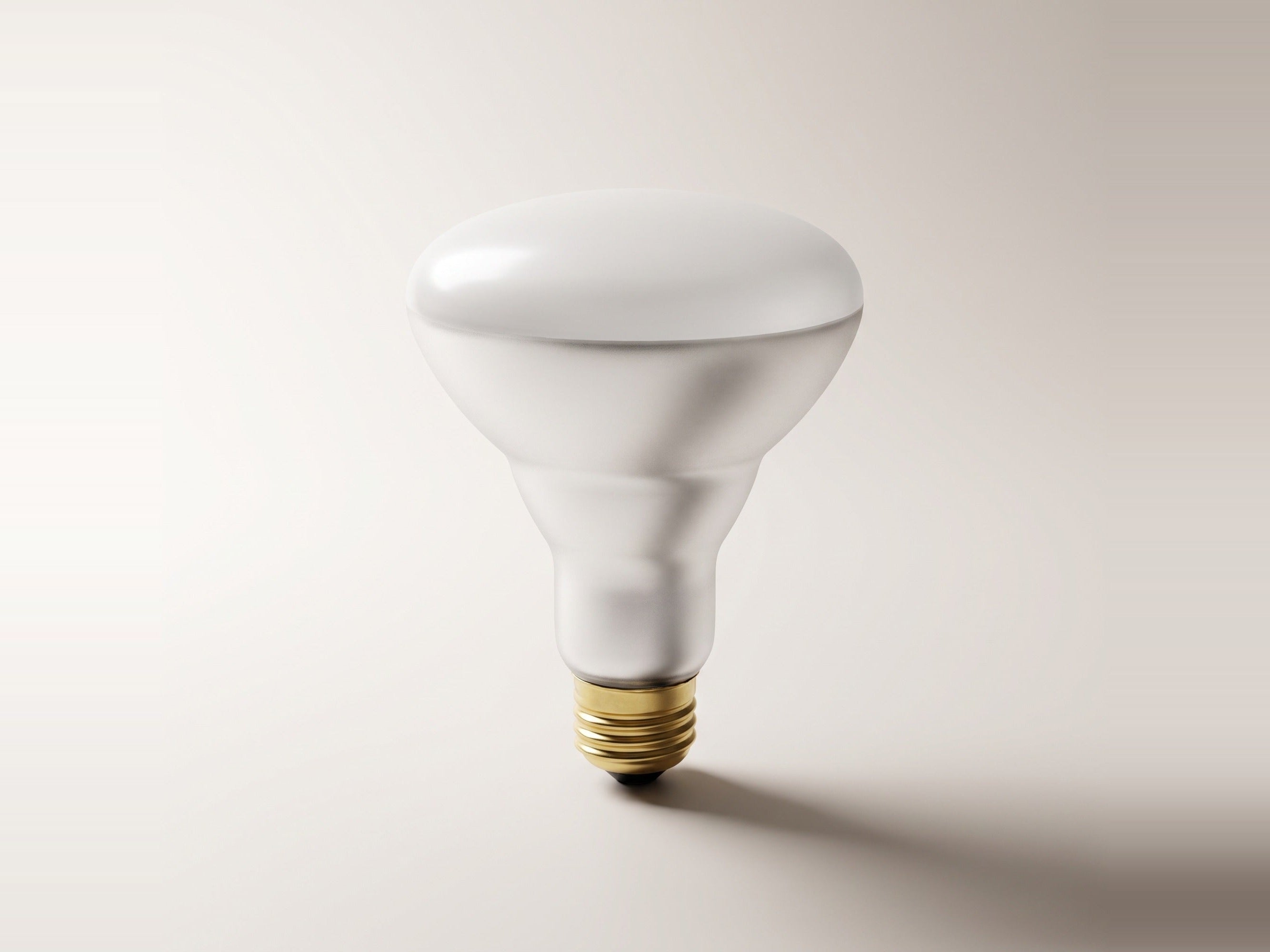 Incandescent R & BR