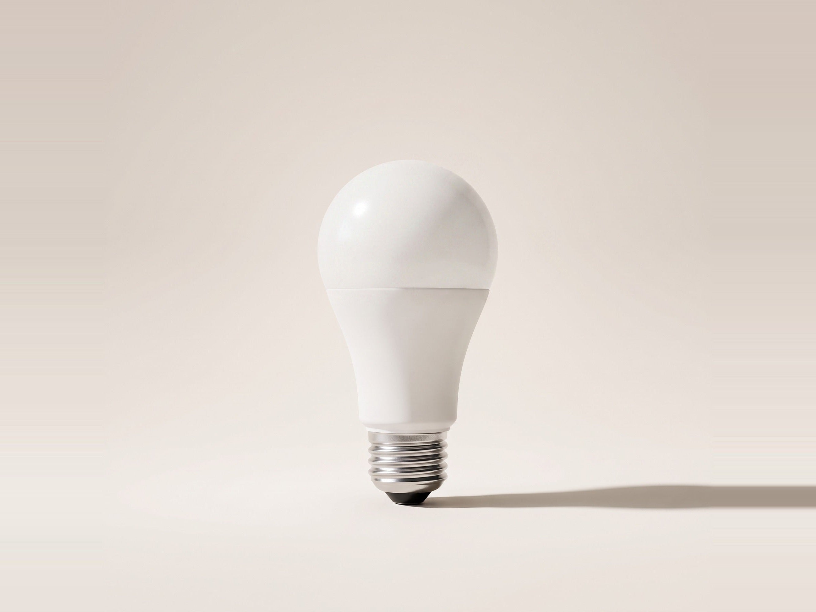 LED A19 Bulbs