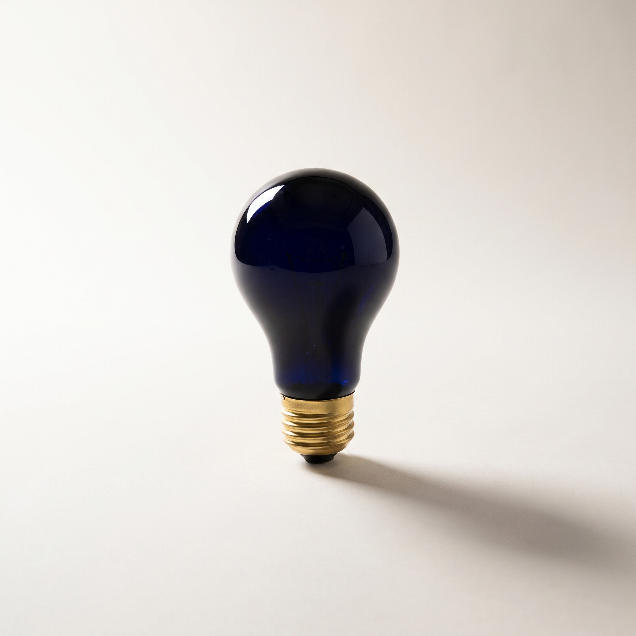 Xtricity A19 Party Bulb — 75W / Black Light (Ultraviolet)