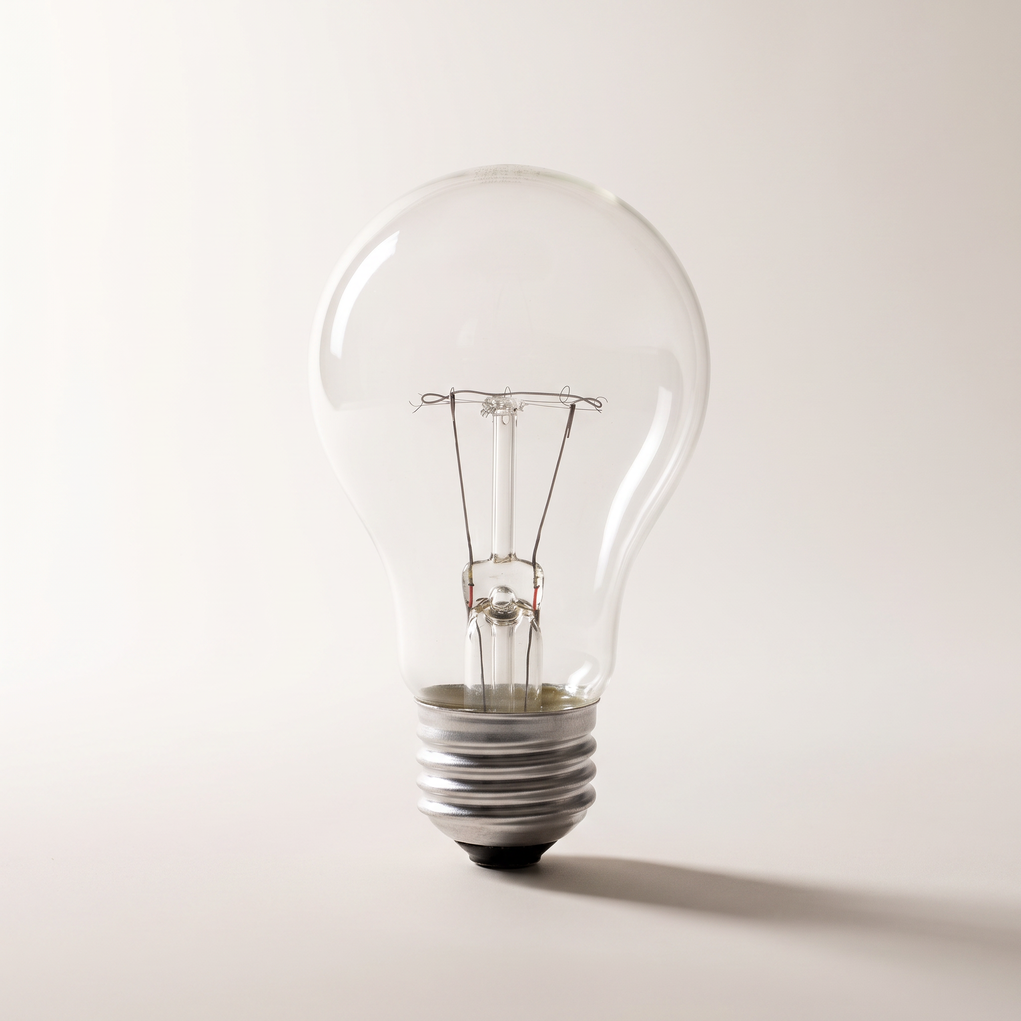 Xtricity A19 Rough-Service Bulb, 100W Clear, Medium Base, 2-Pack