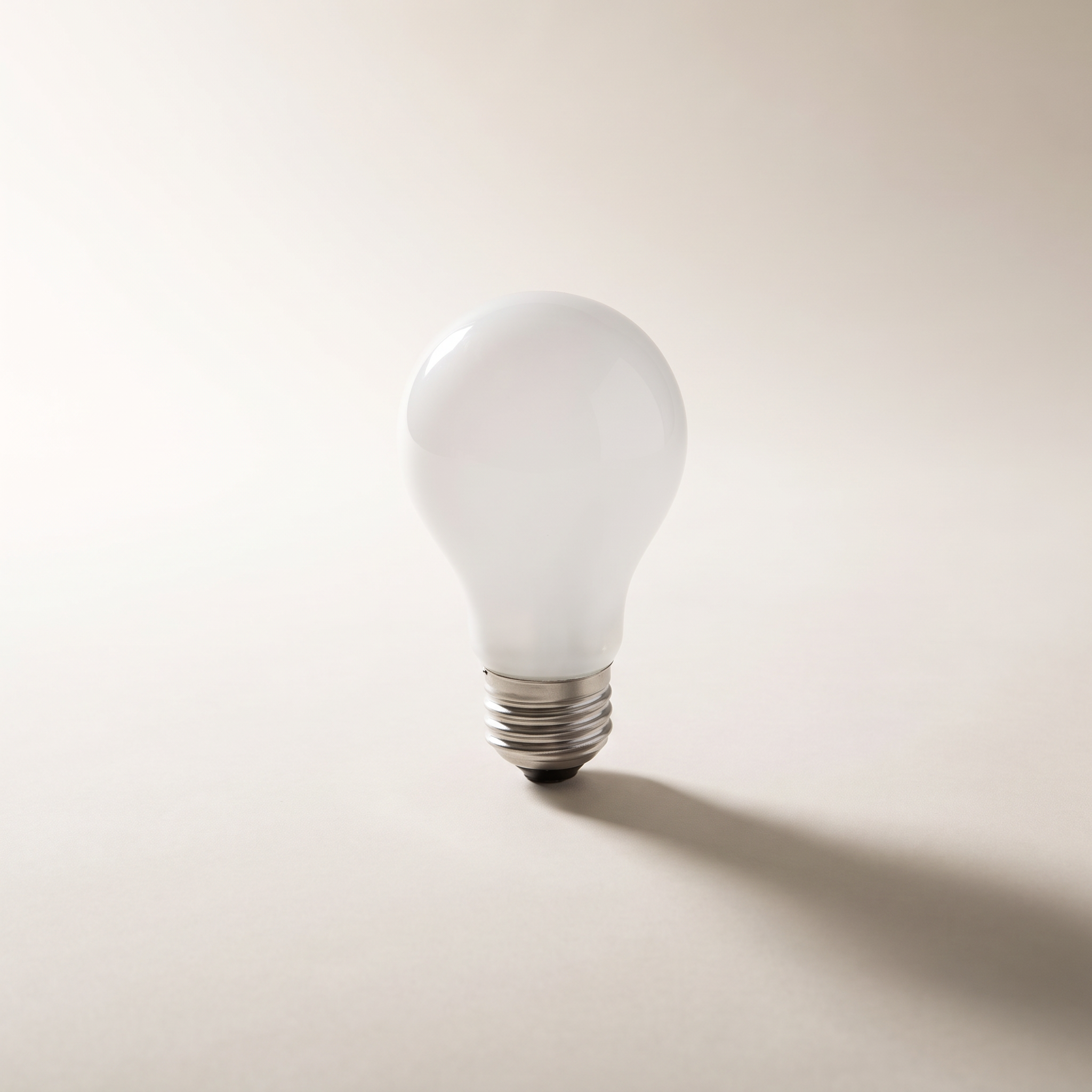 Xtricity A19 Rough-Service Bulb, 100W Frosted, Medium Base, 2-Pack