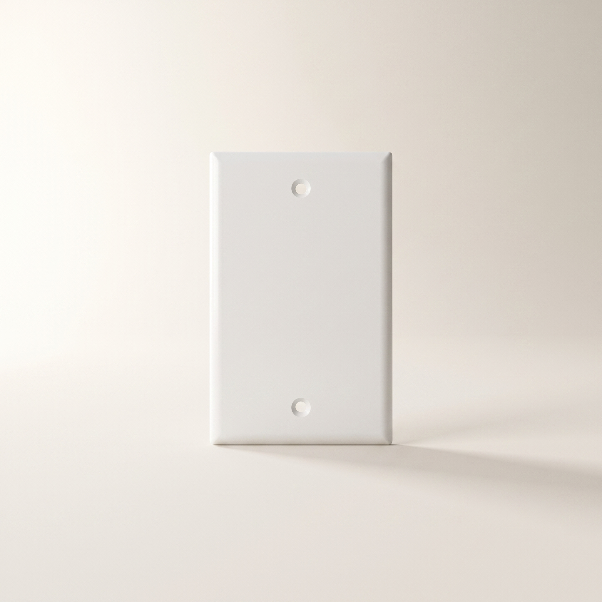 1-Gang Blank Wall Plate (10-Pack)