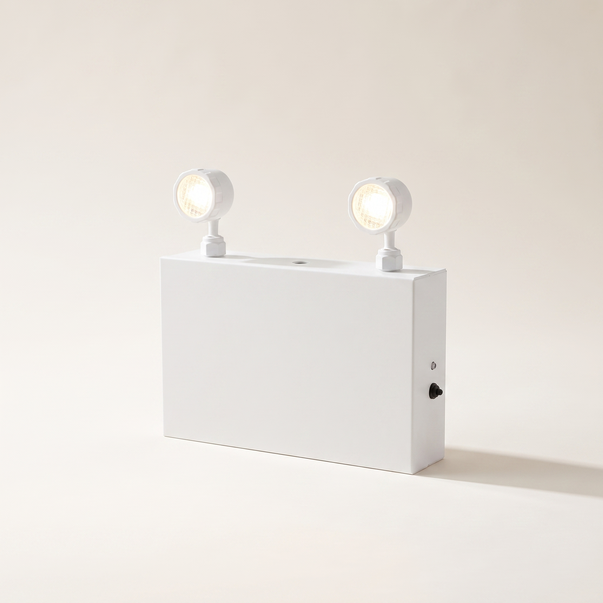 LED Emergency Light with Steel-Case Battery Unit — 2 Heads (Dual 12Ah)