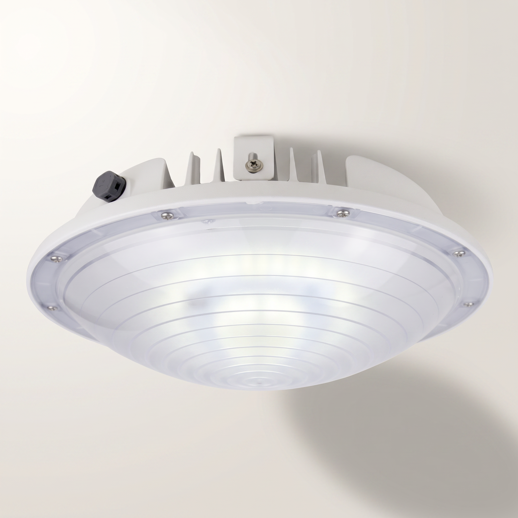 LED Garage & Canopy Light — 40W / 4400 Lumens / 5000K