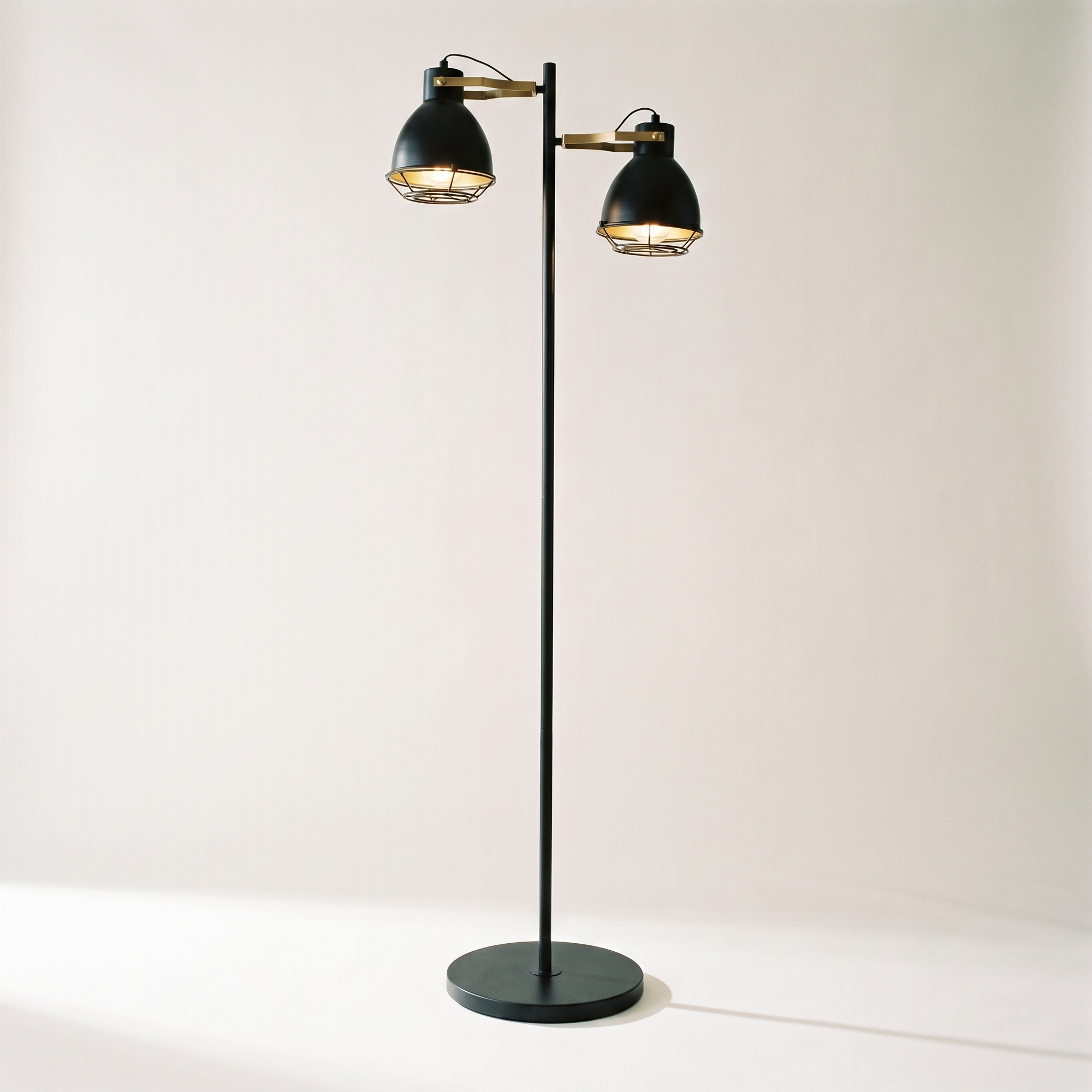 Virginia 2-Head Floor Lamp — Black & Gold