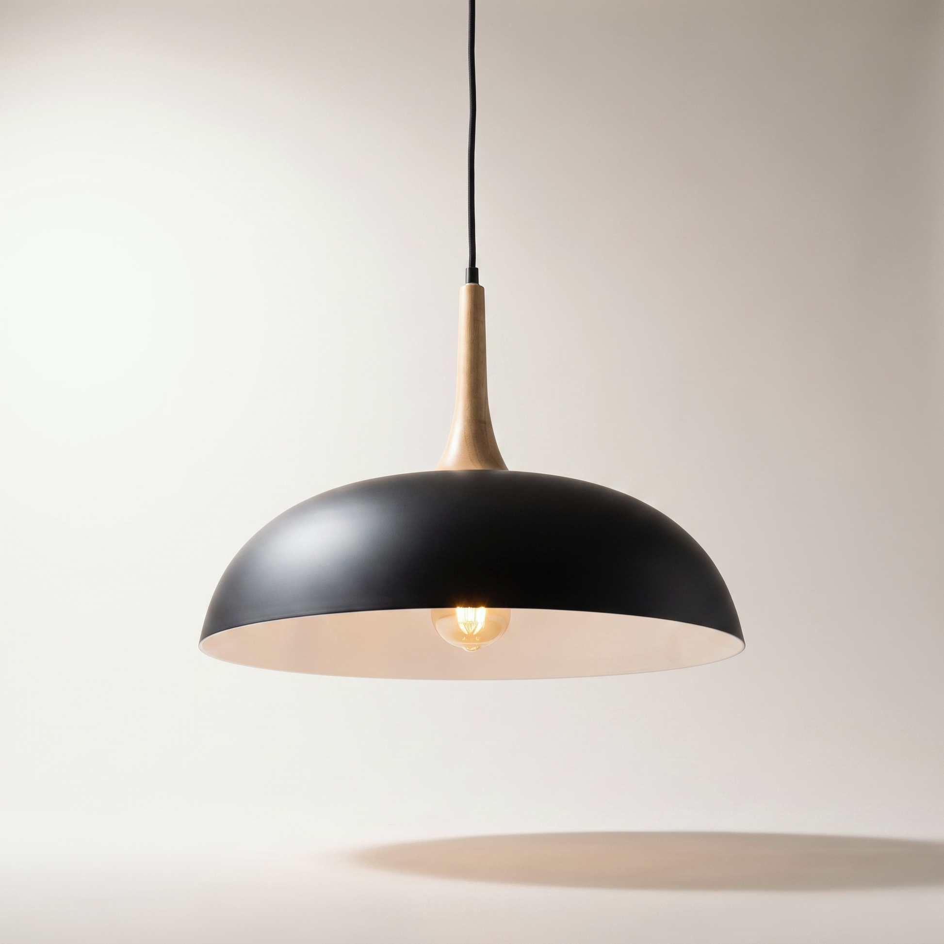 Black Moon 1-Light Pendant Fixture