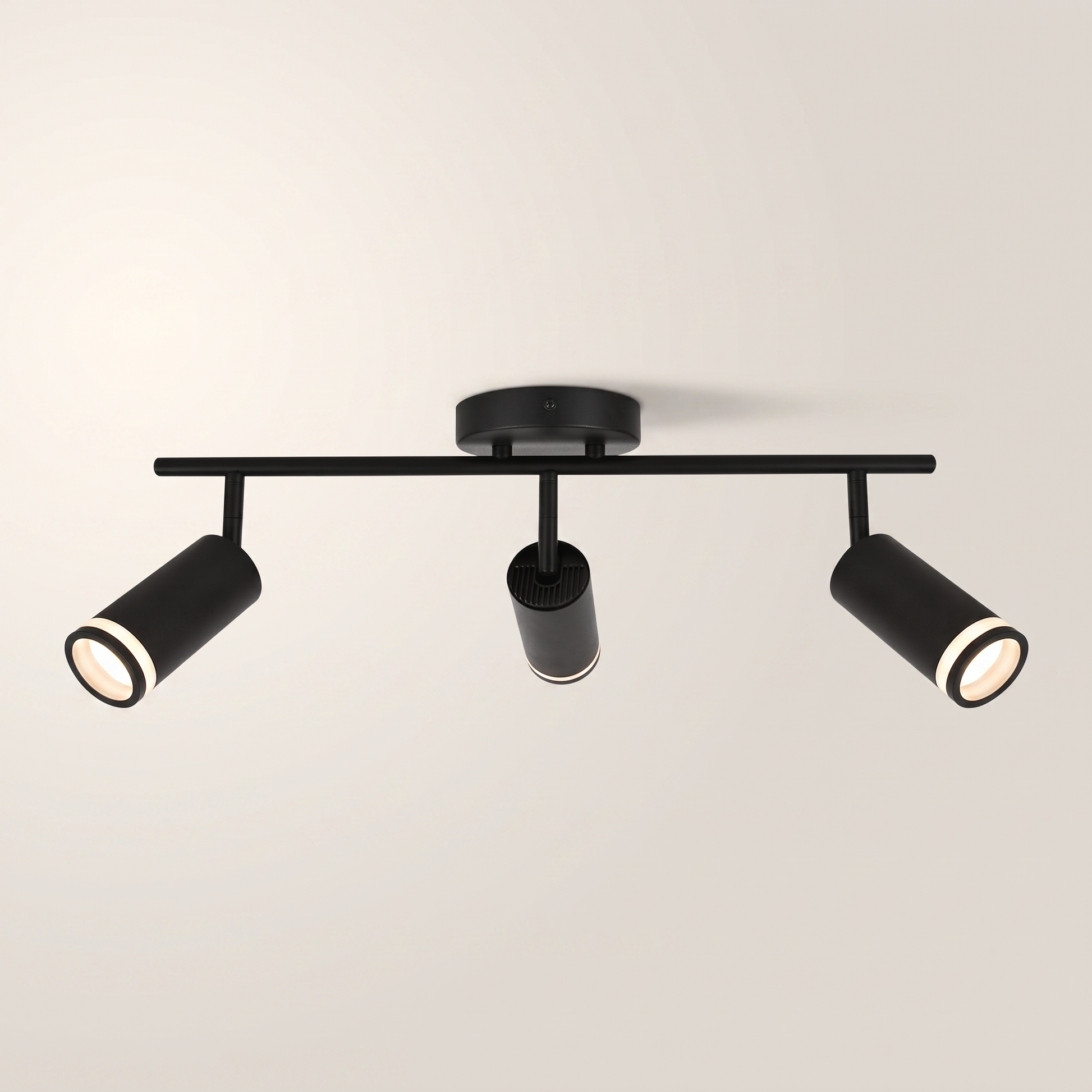 Valegro 3-Head Track Light, Black & White